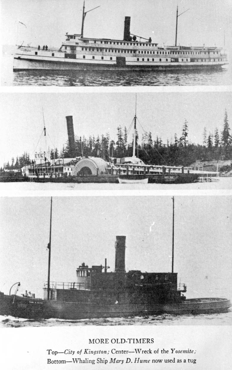 Steamers City of Kingston, Yosemite, and tugboat Mary D